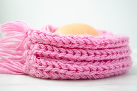 the Eggs  in the warm pink scarfの写真素材