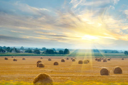 Outside the window of a moving train can be seen field with straw bales lit bright sunlightの写真素材