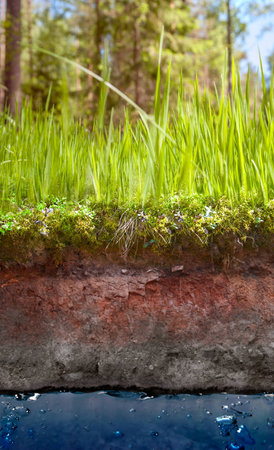 section of earth with grass and waterの写真素材