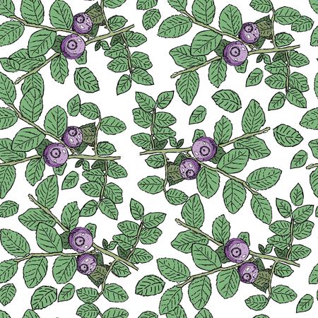 seamless pattern with hand drawn vintage wild berries - cranberry, blueberry, bilberry.のイラスト素材