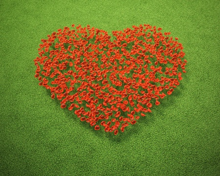 Meadow of flowers growing in form of heartの写真素材