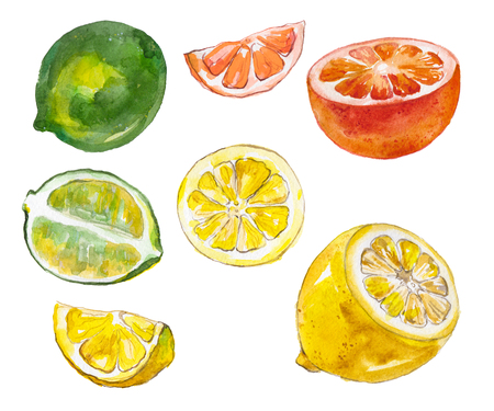 Watercolor fruits isolated on whiteの写真素材
