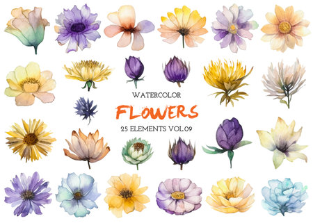 Vector watercolor painted flower. Hand drawn flower design elements isolated on white background.の写真素材