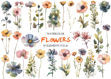Vector watercolor painted flower. Hand drawn flower design elements isolated on white background.の写真素材