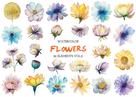 Vector watercolor painted flower. Hand drawn flower design elements isolated on white background.の写真素材