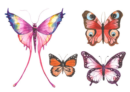 Watercolor painted butterfly. Hand drawn design elements isolated on white background.のイラスト素材
