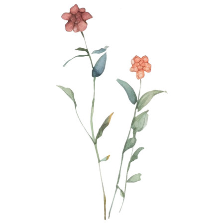 Vector Watercolor painted flower illustration. Hand drawn flower design elements isolated on white background.のイラスト素材