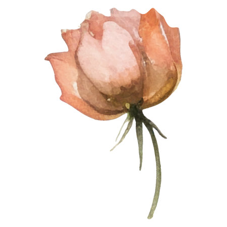 Vector Watercolor painted flower illustration. Hand drawn flower design elements isolated on white background.のイラスト素材
