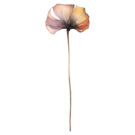 Vector Watercolor painted flower illustration. Hand drawn flower design elements isolated on white background.のイラスト素材