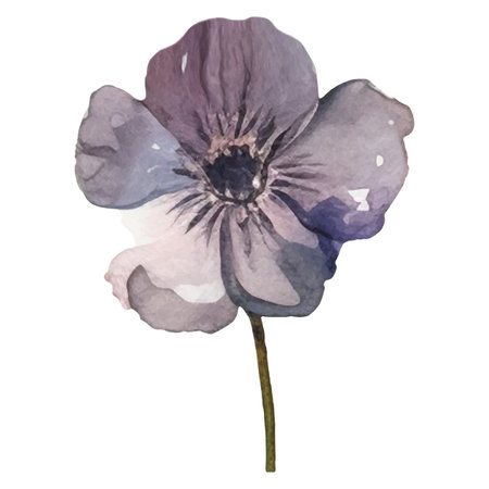 Vector Watercolor painted flower illustration. Hand drawn flower design elements isolated on white background.のイラスト素材