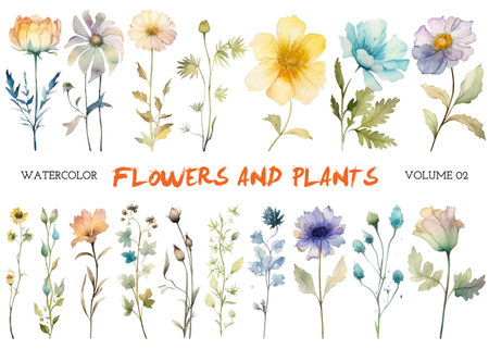 Vector watercolor painted flower. Hand drawn flower design elements isolated on white background.のイラスト素材
