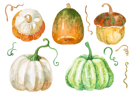 Abstract watercolor collection of autumn pumpkins. Hand drawn nature design elements isolated on white background.の写真素材