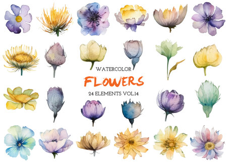 Vector watercolor painted flower. Hand drawn flower design elements isolated on white background.の写真素材