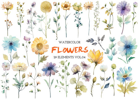 Vector watercolor painted flower. Hand drawn flower design elements isolated on white background.の写真素材