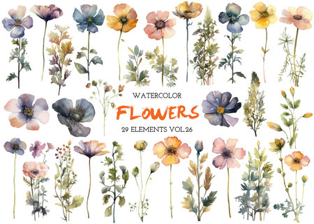 Vector watercolor painted flower. Hand drawn flower design elements isolated on white background.の写真素材