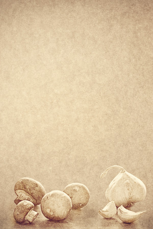mushrooms and garlic on vintage paperの写真素材