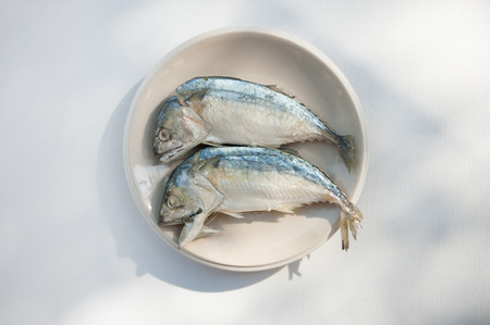 Mackerel and fresh vegetables ingredients for cookingの写真素材