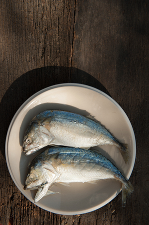 Mackerel and fresh vegetables ingredients for cookingの写真素材