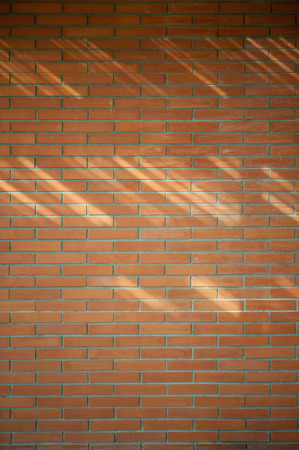 The red bricks. Wall of bricks. Texture of brick wall. The background ofbricks. The old bricks. Old masonryの写真素材