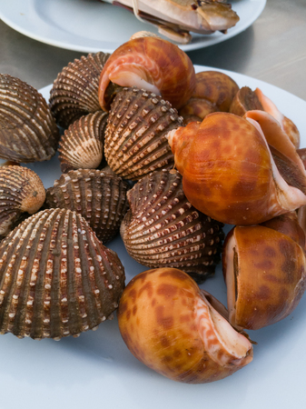 Delicious boiled or steamed cockles(Scallop seafood) on plate selective focus