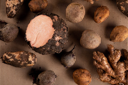 BROWN MONOCHROME:
A flat lay image which shows brown and earthy vegetables and fruits with the same colour backdropの写真素材