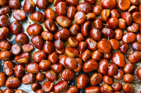 Many ripe chestnuts for texture or background. の写真素材