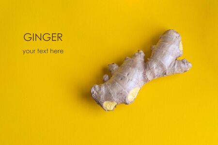 Ginger root on bright yellow background. Ginger used as spice and treatment in alternative medicine with multiple benefits for health.の写真素材