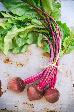 Bunch of organic beets with beet greens on vintage metal background. Top view.