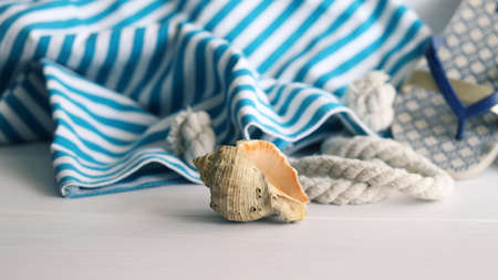 Blue beach bag with ocean seashell on white wooden background with copy space. Concept for summer times and vacation at sea.の写真素材