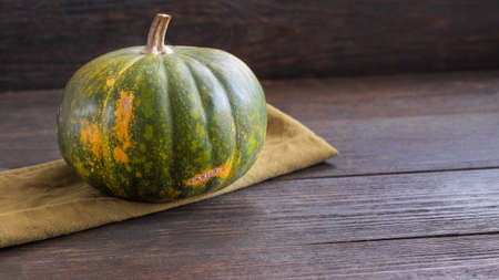 Pumpkin on black background with sun light. Autumn fall and Thanksgiving Day concept.の写真素材
