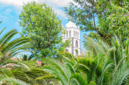 Santa Ana Church Tower in Garachico village with tropical palm leaves in Tenerife. Beautiful natural landscape background.の写真素材