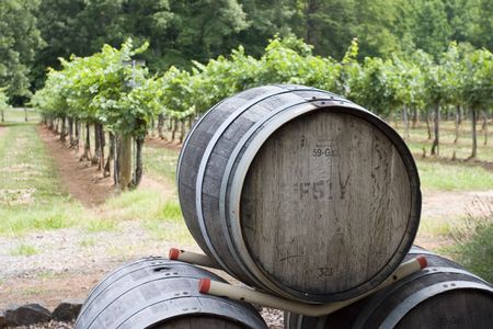 stacked wine barrels in front of vineyard in Hudson Valley, upstate New York.