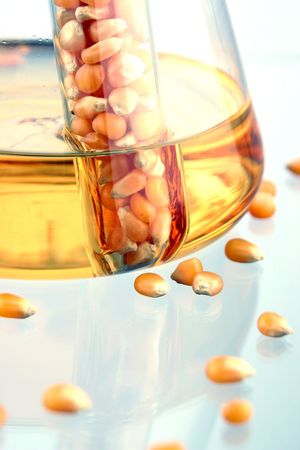 Closeup of BioFuel made from corn. の写真素材