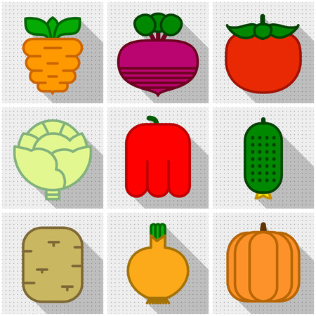 Icons of carrot, beet, tomato, cabbage, pepper, cucumber, potato, onions and pumpkin in set on decorative background with shadowsのイラスト素材