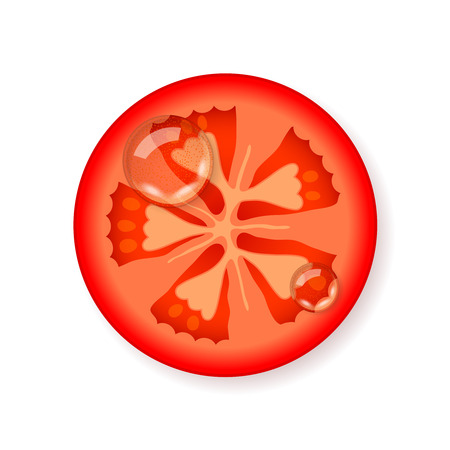 Slice of fresh juicy tomato with drops of waterのイラスト素材