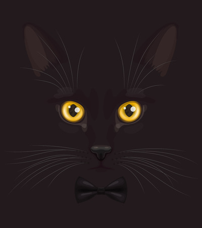 Muzzle of short-haired black cat with big yellow eyes, with stylish black bow-tie on neck, at dark backgroundのイラスト素材