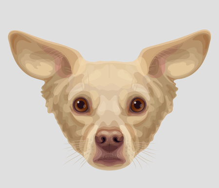 Drawn funny lop-eared beige-colored dog muzzle with brown eyes and brown noseのイラスト素材