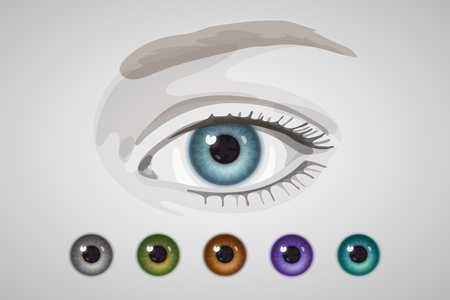 Eye and colored irises, natural and unnatural colors.のイラスト素材