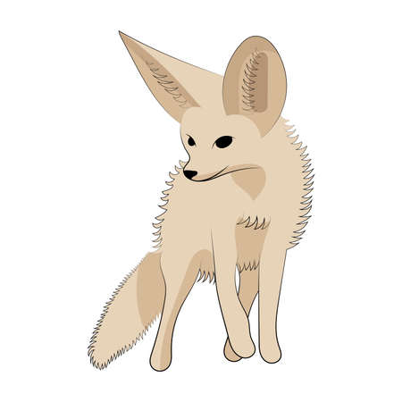 Fennec fox vector illustration. Little fox drawing.のイラスト素材