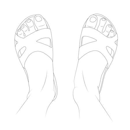 Wearing slippers vector illustration. Shoes top view.のイラスト素材