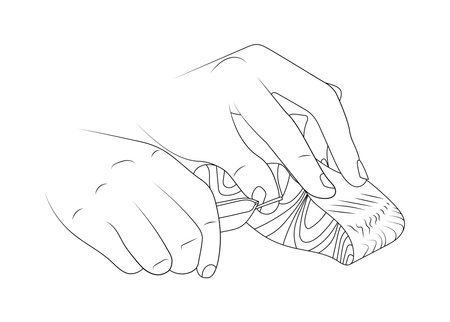 Remove pin bones from salmon sketch illustration.のイラスト素材