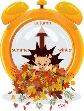 Vector image of a hedgehog in a pile of autumn foliage. From a series of illustrations with a hedgehogのイラスト素材