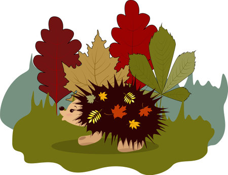 Vector image of a hedgehog walking on a forest lawn. Series of picturesのイラスト素材