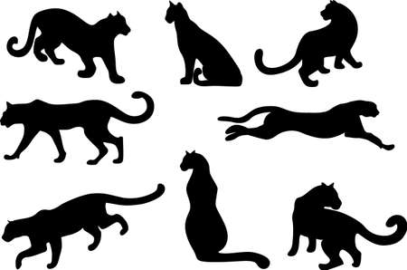 mage of silhouettes in different poses of a feline.のイラスト素材