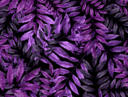 Vector background image of lilac and purple foliage on a black background. Cartoon style. EPS 10の写真素材