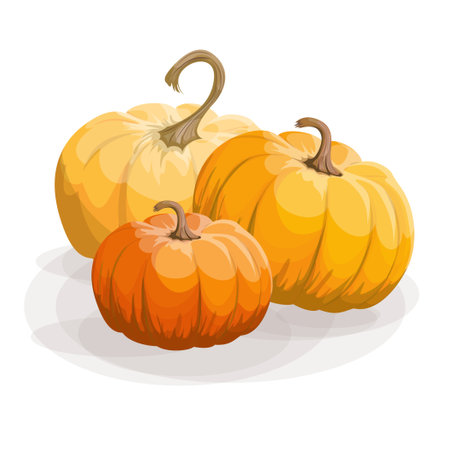 Vector image of three pumpkins Isolated on white background. Concept. Vegetable. Cartoon. EPS 10のイラスト素材