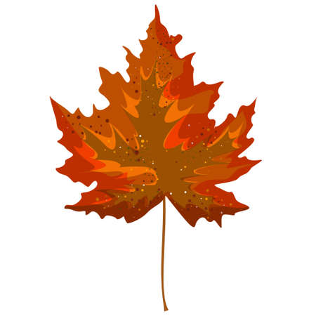 Vector realism of a stylized autumn leaf on a white background. EPS 10. Concept. Cartoonのイラスト素材