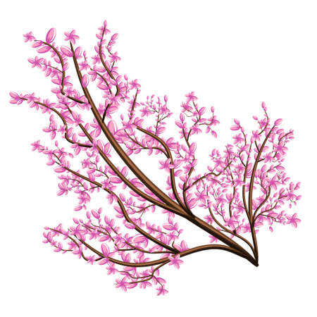 Vector image isolated on white background. Branch in pink flowers. Sakura. concept. EPS 10のイラスト素材