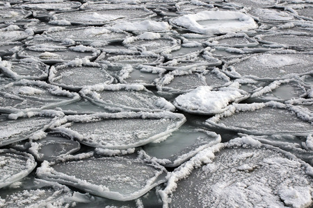 the ice on the surface of freezing sea