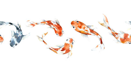 Watercolor border with koi carp. The border on a white background. Watercolor orange and blue fish for fabrics, banners, prints, postcards, gifts.の写真素材